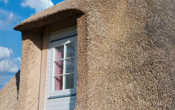 Fortis Green thatch roof disadvantages